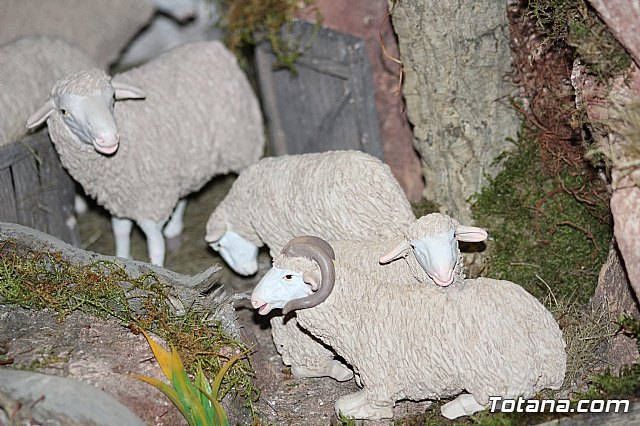 Inauguracin Beln municipal - Navidad 2019 - 128