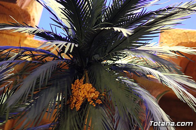 Inauguracin Beln municipal - Navidad 2019 - 148