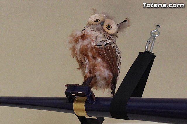 II Beln Solidario. Hdad de La Vernica. Navidad 2014 - 98