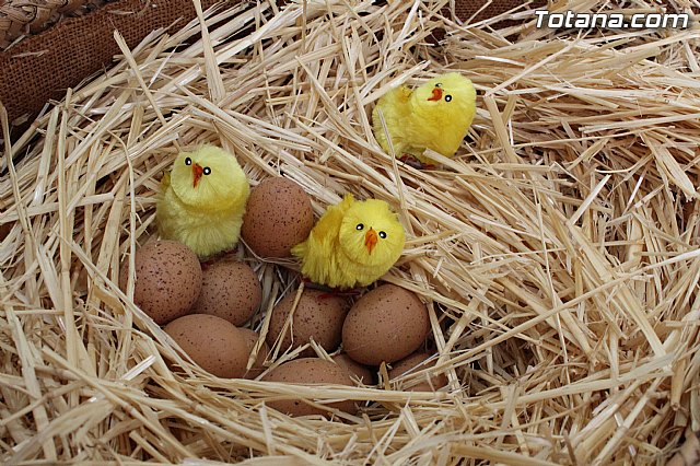 II Beln Solidario. Hdad de La Vernica. Navidad 2014 - 100