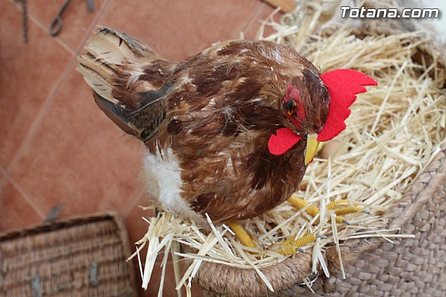 II Beln Solidario. Hdad de La Vernica. Navidad 2014 - 101