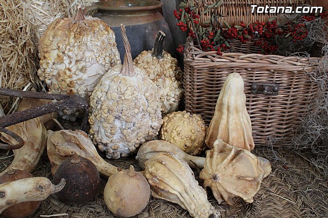 II Beln Solidario. Hdad de La Vernica. Navidad 2014 - 102