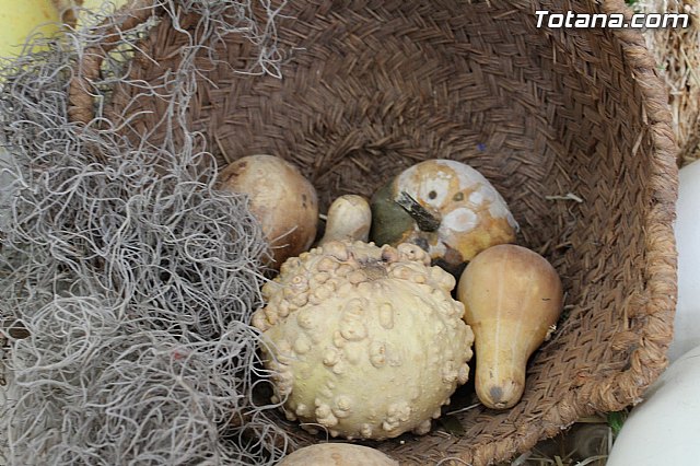 II Beln Solidario. Hdad de La Vernica. Navidad 2014 - 105