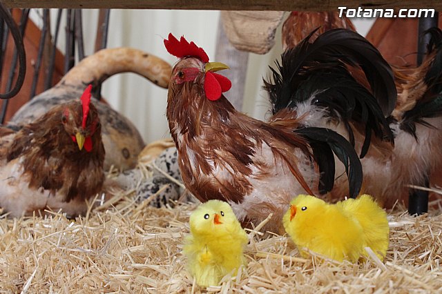 II Beln Solidario. Hdad de La Vernica. Navidad 2014 - 106