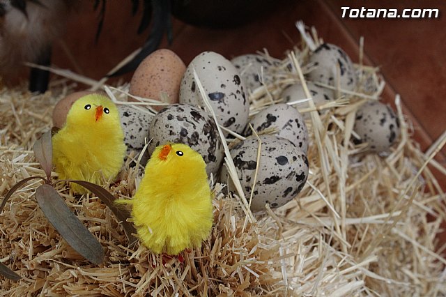 II Beln Solidario. Hdad de La Vernica. Navidad 2014 - 107