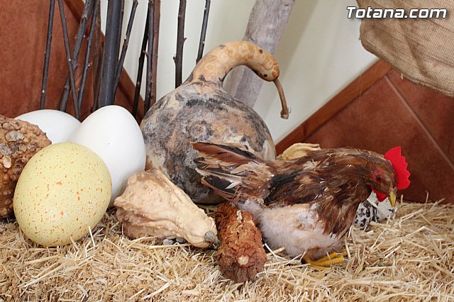 II Beln Solidario. Hdad de La Vernica. Navidad 2014 - 110