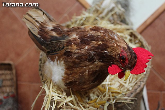 II Beln Solidario. Hdad de La Vernica. Navidad 2014 - 160