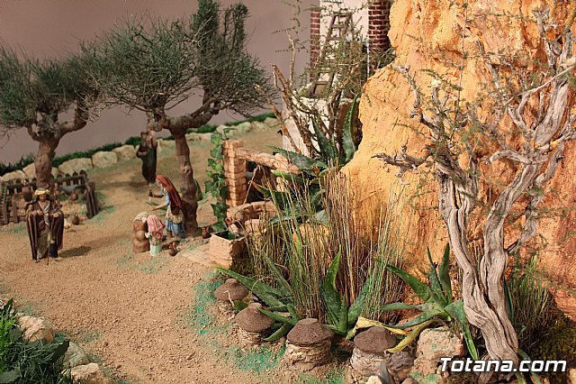 Beln Municipal - Navidad Totana 2017 - 6