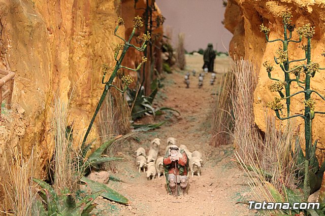 Beln Municipal - Navidad Totana 2017 - 20