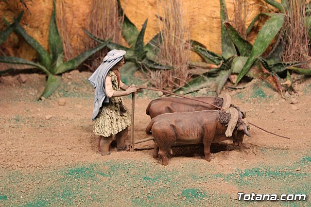 Beln Municipal - Navidad Totana 2017 - 30