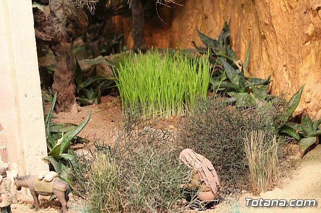 Beln Municipal - Navidad Totana 2017 - 36