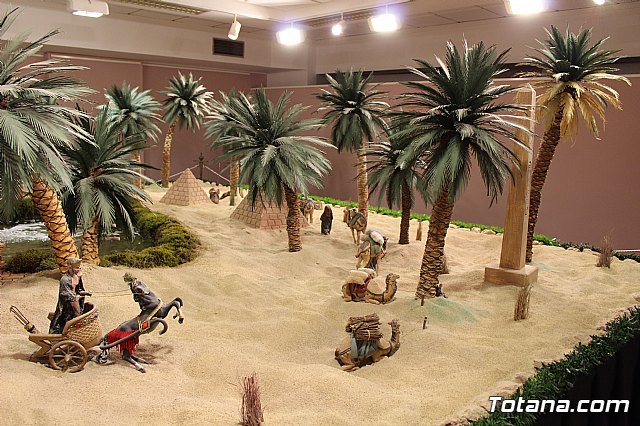 Beln Municipal - Navidad Totana 2017 - 38