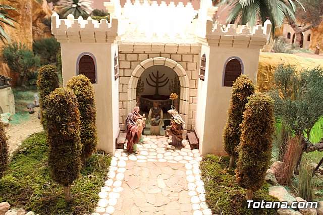 Beln Municipal - Navidad Totana 2017 - 55