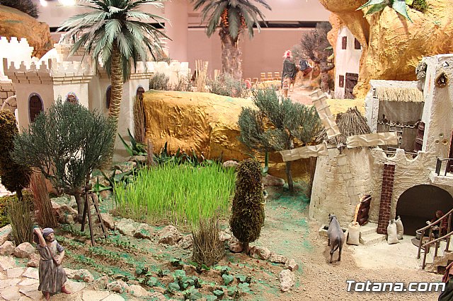 Beln Municipal - Navidad Totana 2017 - 58