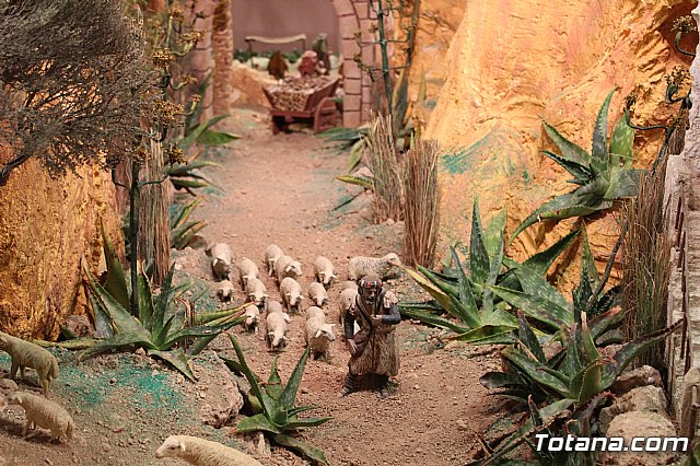 Beln Municipal - Navidad Totana 2017 - 73