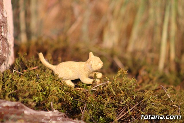 Beln Municipal - Navidad Totana 2017 - 97