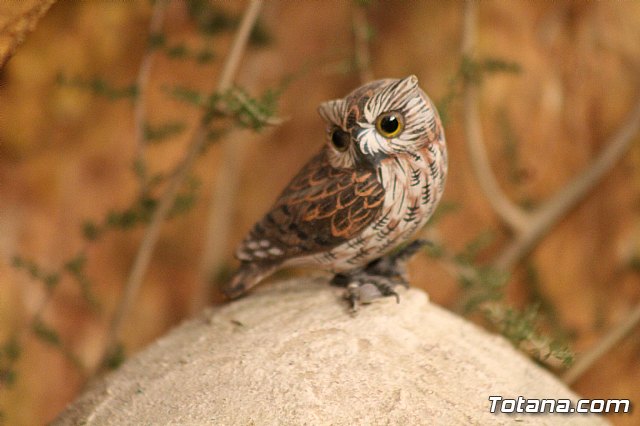 Beln Municipal - Navidad Totana 2017 - 98