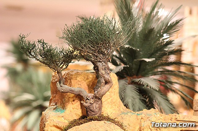 Beln Municipal - Navidad Totana 2017 - 149