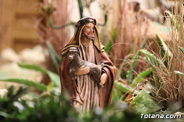 Beln Municipal - Navidad Totana 2017 - 167