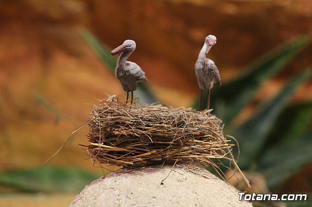 Beln Municipal - Navidad Totana 2017 - 173