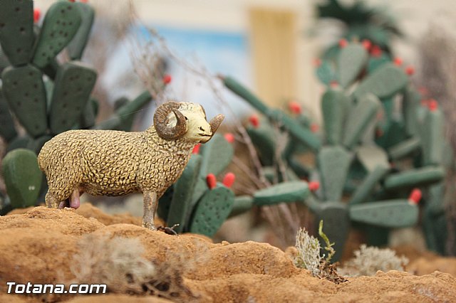 Beln solidario Hermandad de la Vernica 2015 - 73