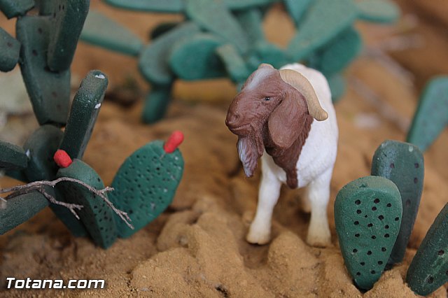 Beln solidario Hermandad de la Vernica 2015 - 246