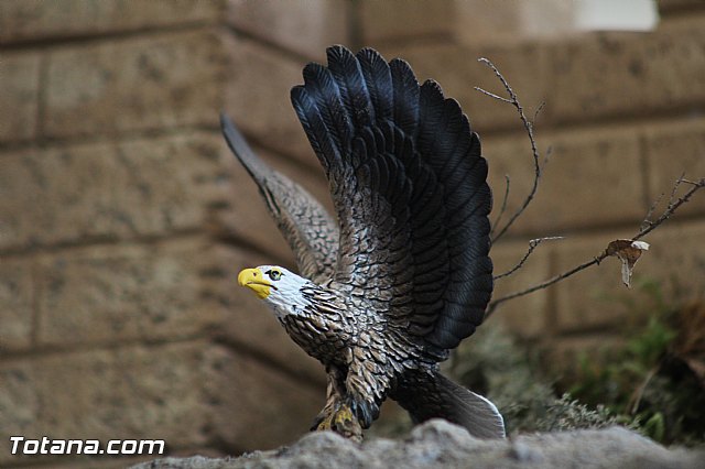 Beln solidario Hermandad de la Vernica 2015 - 329