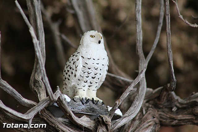 Beln solidario Hermandad de la Vernica 2015 - 337