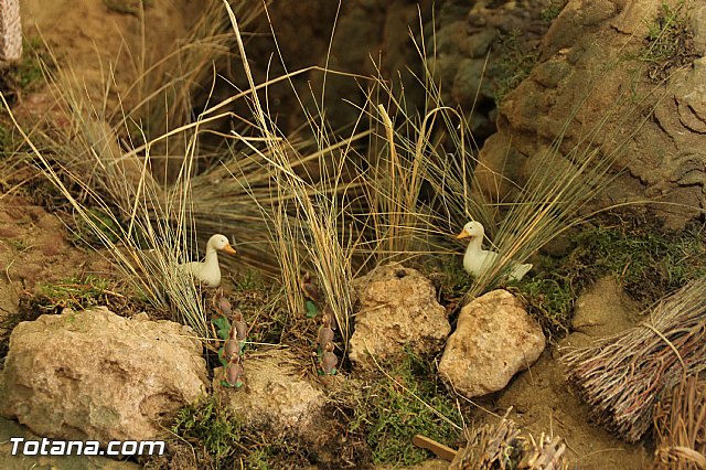 Beln solidario Hermandad de la Vernica 2016 - 45