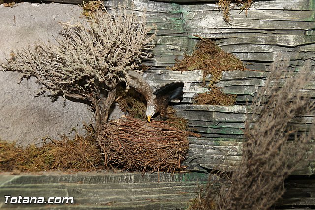 Beln solidario Hermandad de la Vernica 2016 - 71