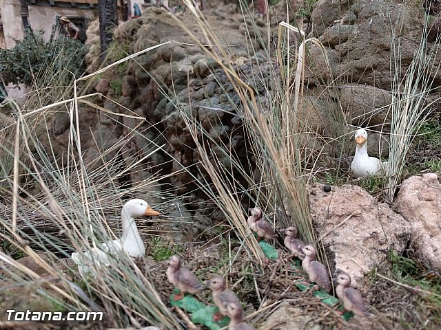 Beln solidario Hermandad de la Vernica 2016 - 181