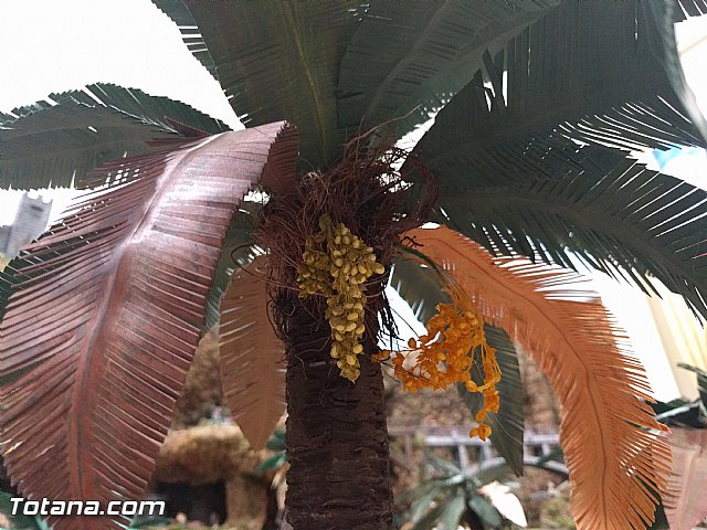 Beln solidario Hermandad de la Vernica 2016 - 204