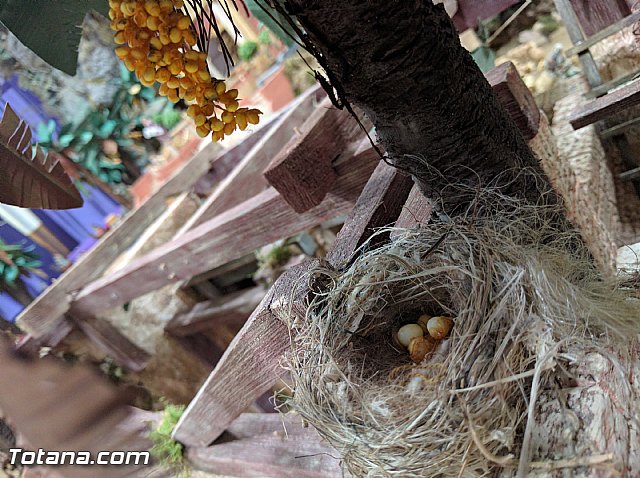 Beln solidario Hermandad de la Vernica 2016 - 206