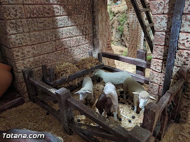 Beln solidario Hermandad de la Vernica 2016 - 208