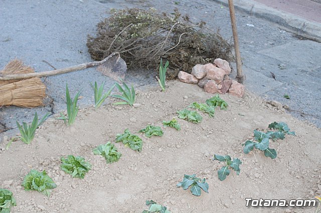 Beln viviente. Hdad. de Jess en el Calvario y Santa Cena  - 52