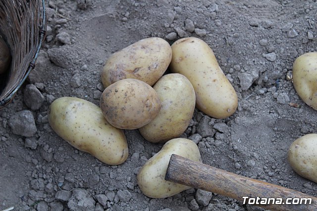 Beln viviente. Hdad. de Jess en el Calvario y Santa Cena  - 67