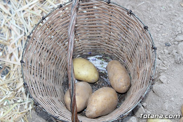 Beln viviente. Hdad. de Jess en el Calvario y Santa Cena  - 68
