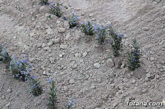 Beln viviente. Hdad. de Jess en el Calvario y Santa Cena  - 69