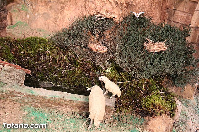 Beln Municipal y exposicin 