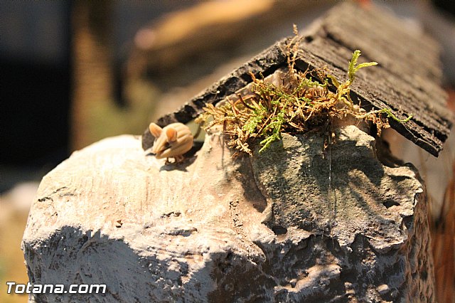 Beln Hdad de Santa Mara Cleof y Coronacin de Espinas 2016 - 22