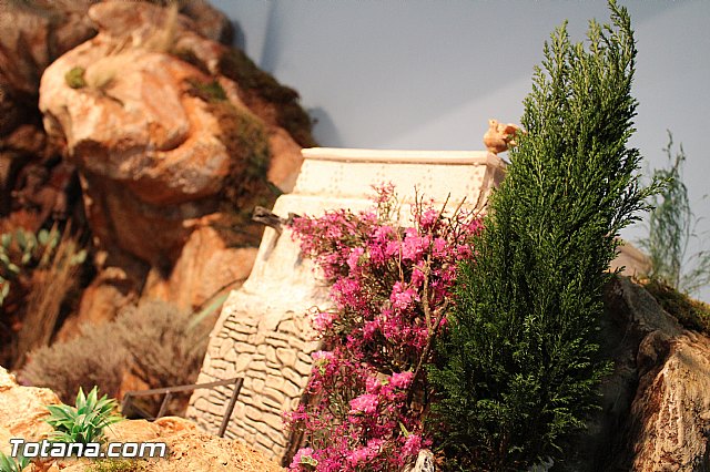 Beln Hdad de Santa Mara Cleof y Coronacin de Espinas 2016 - 23