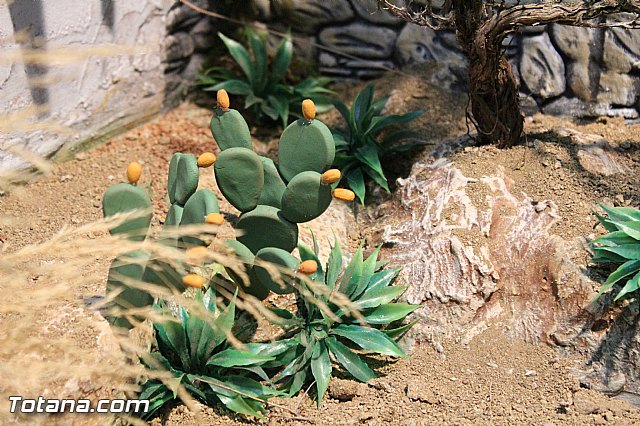 Beln Hdad de Santa Mara Cleof y Coronacin de Espinas 2016 - 28