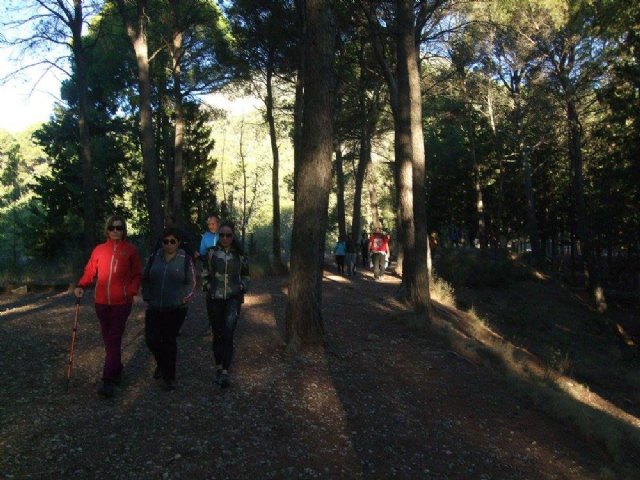 Sendero del Berro - Club Senderista de Totana - 23/10/2016 - 7