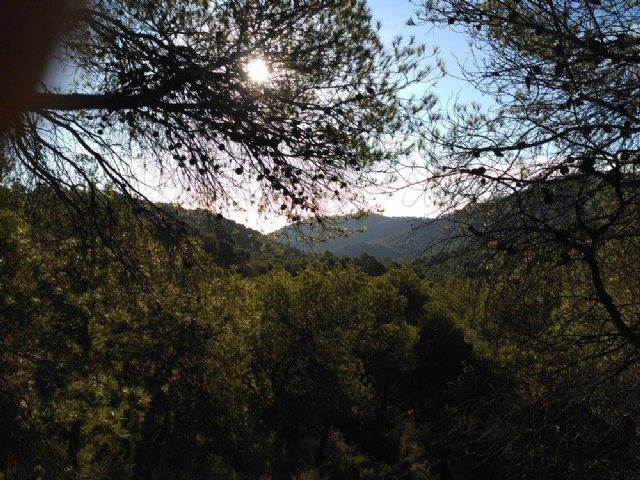 Sendero del Berro - Club Senderista de Totana - 23/10/2016 - 38