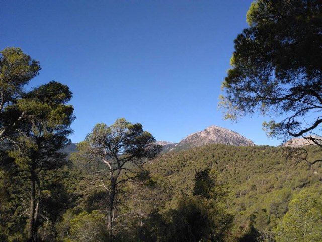 Sendero del Berro - Club Senderista de Totana - 23/10/2016 - 39