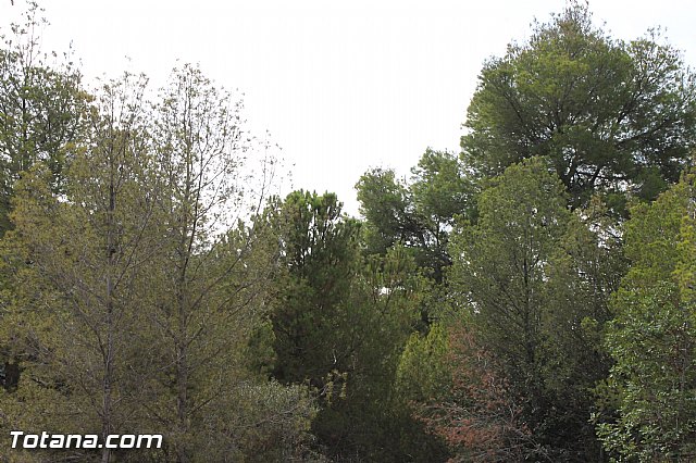 X Memorial MTB Domingo Pelegrn - 2016 - 51