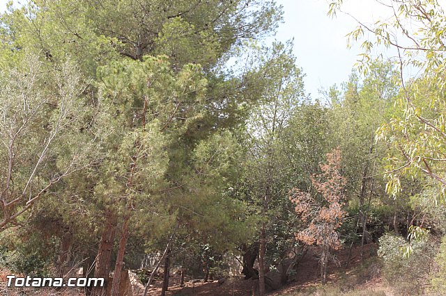 X Memorial MTB Domingo Pelegrn - 2016 - 258