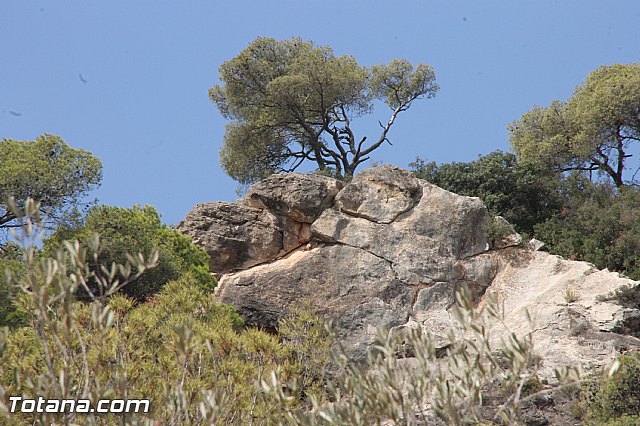 X Memorial MTB Domingo Pelegrn - 2016 - 288