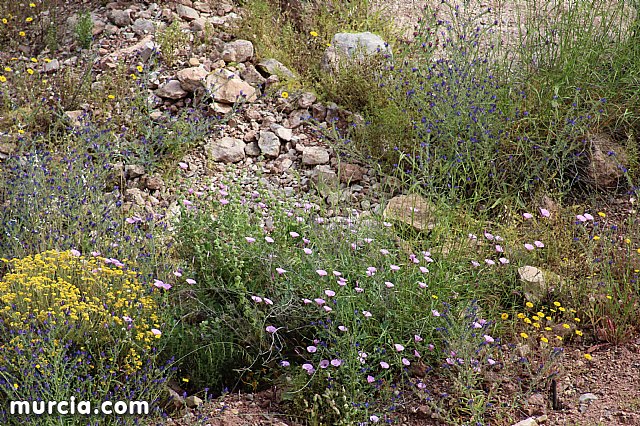 XVIII Bike Maraton Ciudad de Totana 2015 - 4