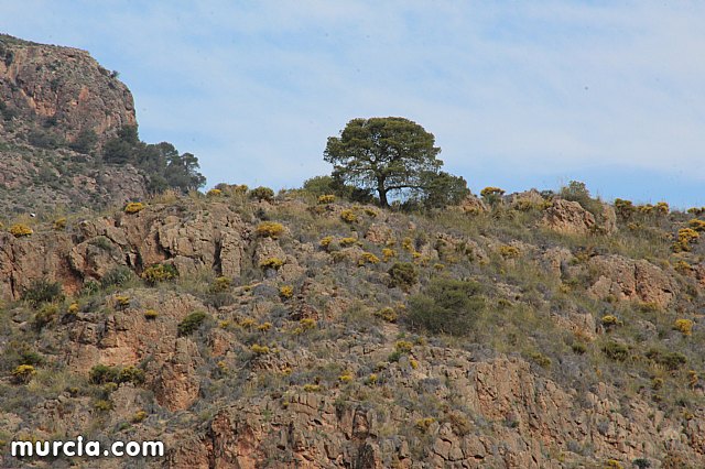 XVIII Bike Maraton Ciudad de Totana 2015 - 8